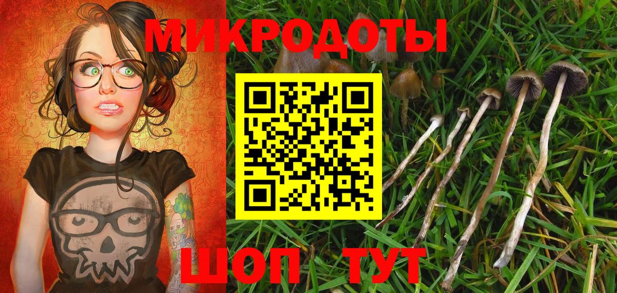 Славгород  Псилоцибиновые грибы мицелий  Вход с VPN 